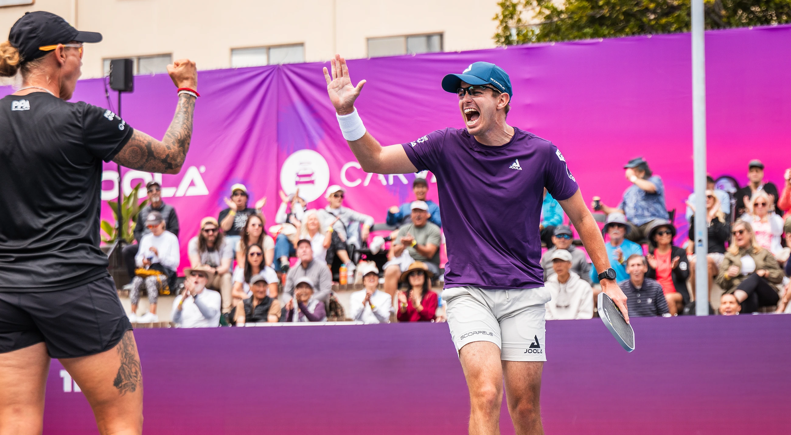 Pickleball desktop hero